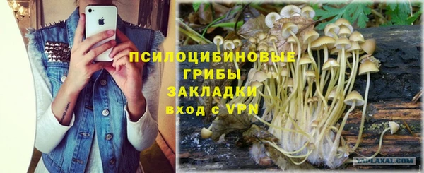 соль курить ск Кулебаки