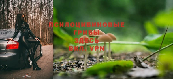 2c-b Куйбышев
