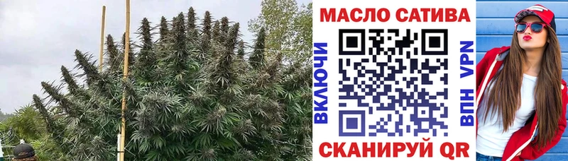 Купить закладки  Городовиковск  ТГК вейп с тгк 